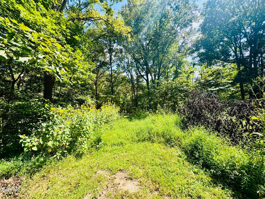 Photo #60: 923 Muddy Creek Road