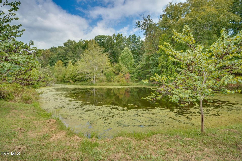 Photo #42: 500 Urbana Road