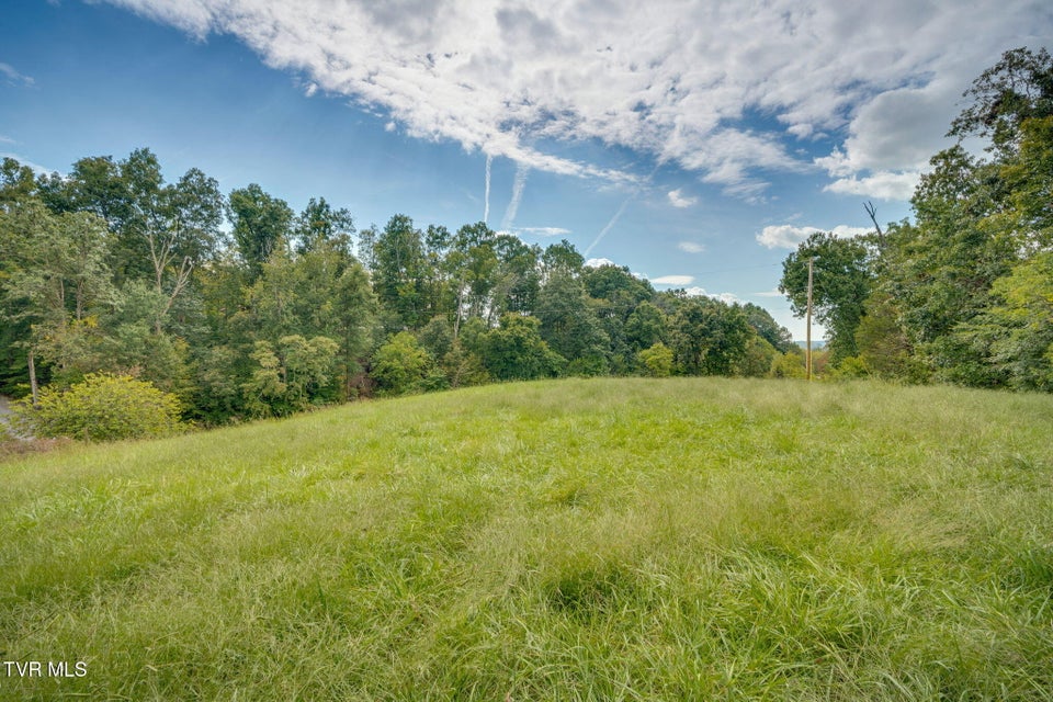 Photo #43: 500 Urbana Road