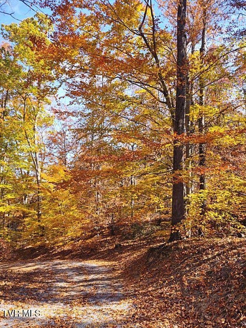 Photo #47: 500 Urbana Road