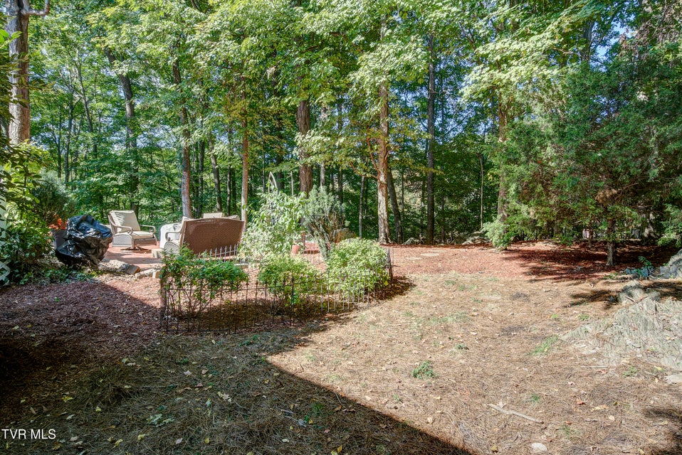 Photo #56: 144 Blue Bird Drive