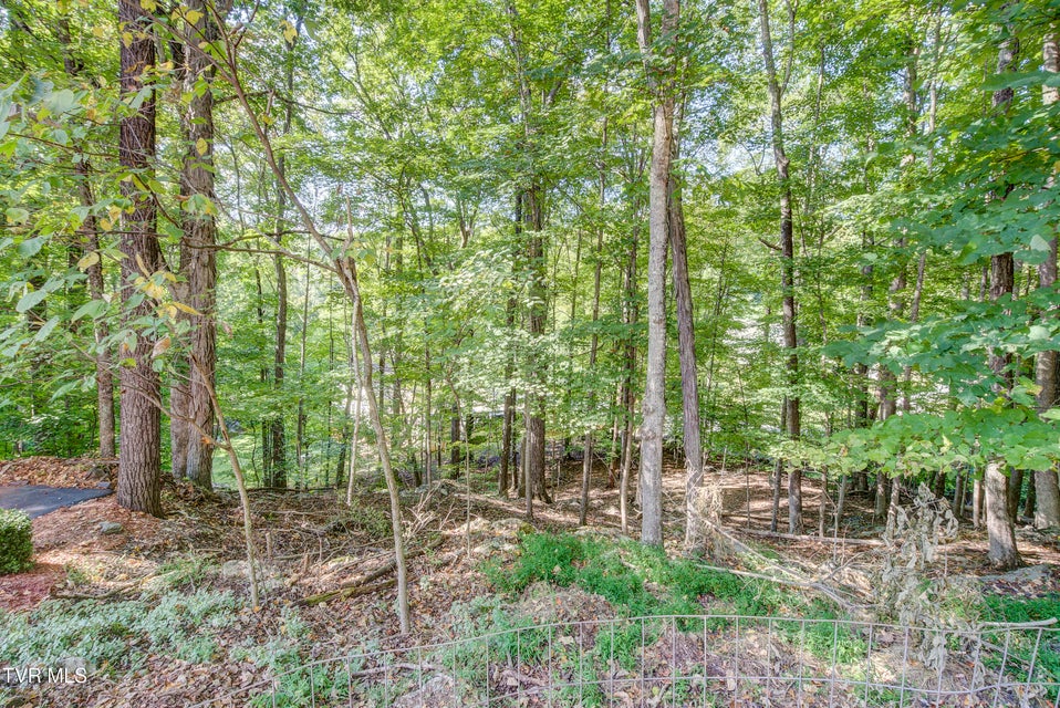 Photo #61: 144 Blue Bird Drive