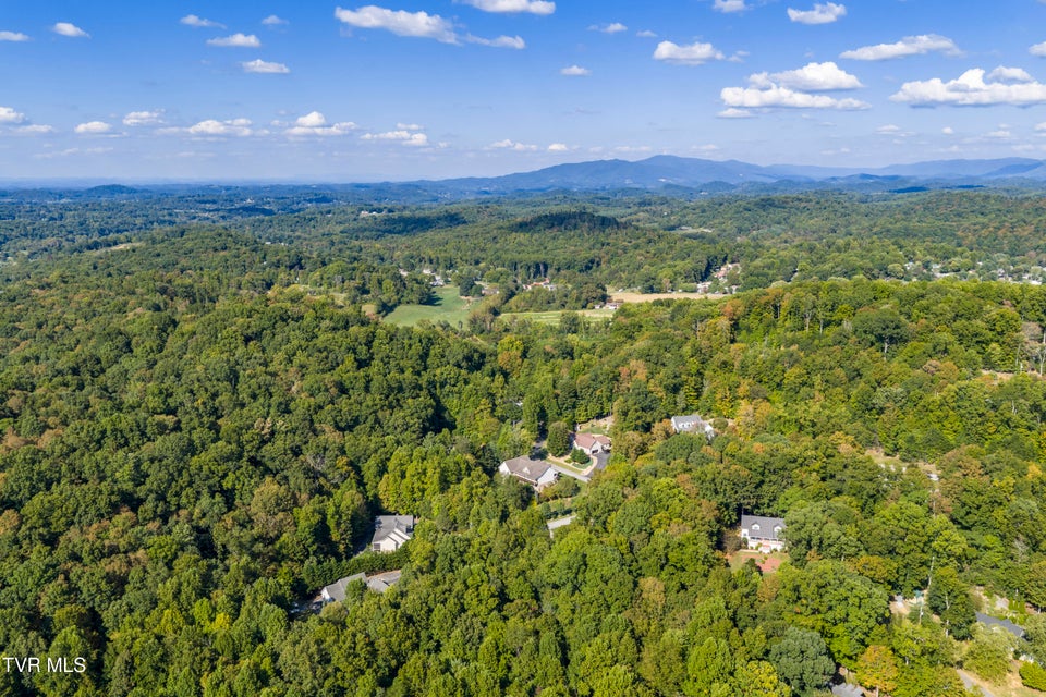 Photo #77: 144 Blue Bird Drive