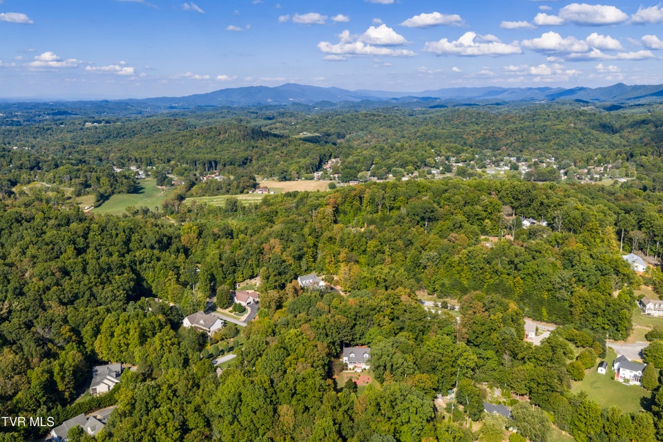 Photo #79: 144 Blue Bird Drive