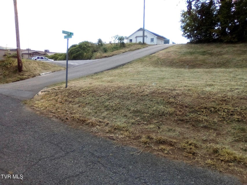 Photo #2: 000 Hemlock Drive