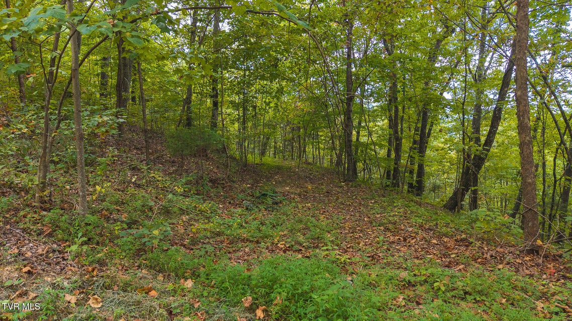 Photo #4: 170 Fire Tower Road