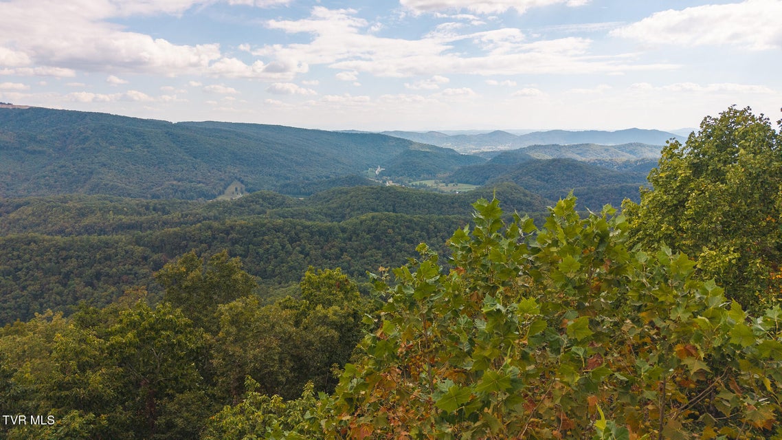 Photo #5: 170 Fire Tower Road