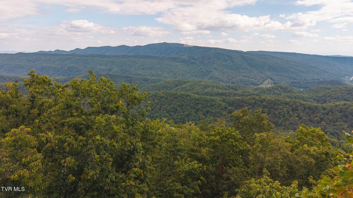 Photo #6: 170 Fire Tower Road