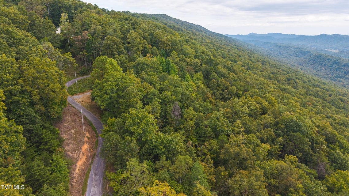 Photo #3: 170 Fire Tower Road