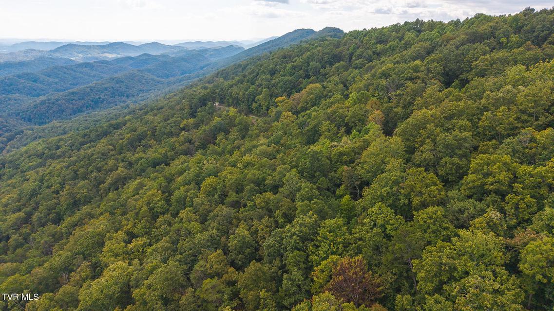 Photo #7: 170 Fire Tower Road