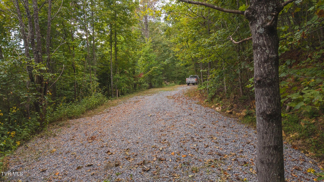 Photo #9: 170 Fire Tower Road