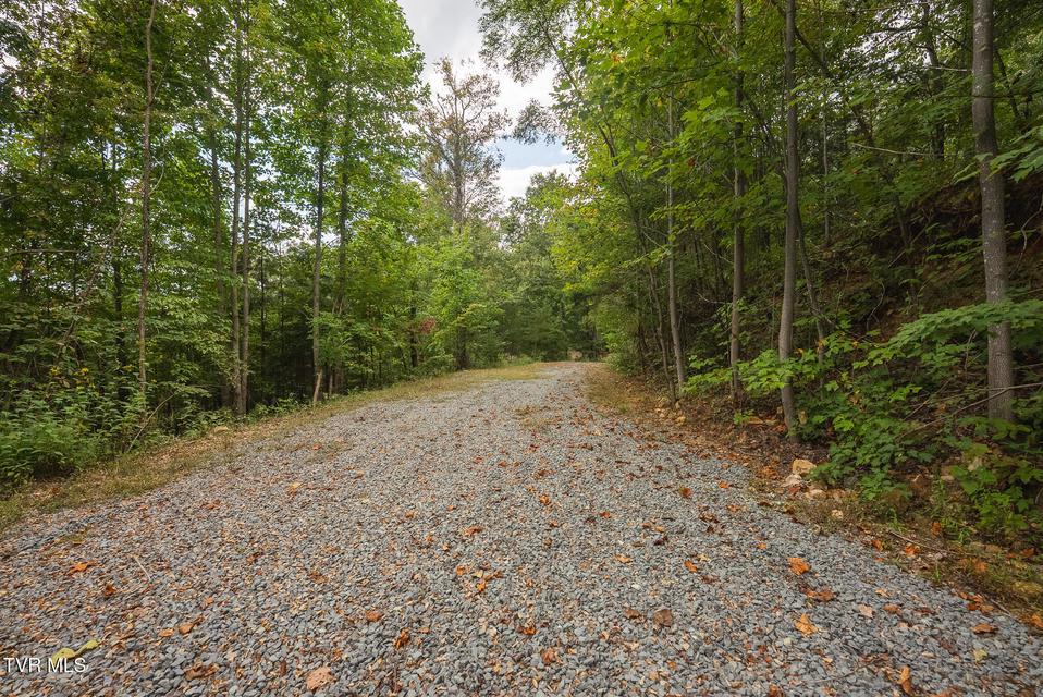 Photo #10: 170 Fire Tower Road