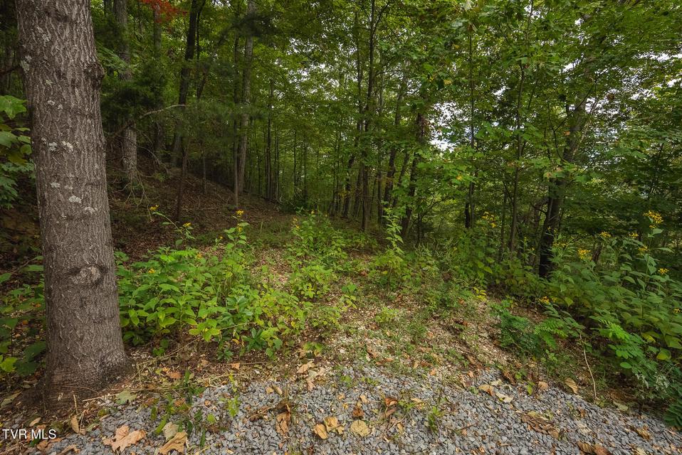 Photo #11: 170 Fire Tower Road