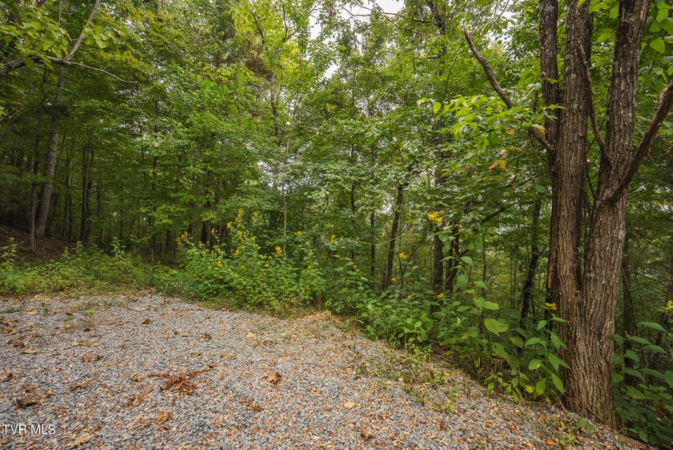 Photo #12: 170 Fire Tower Road