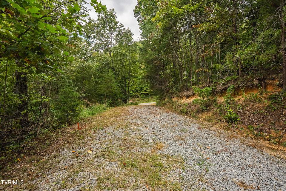 Photo #13: 170 Fire Tower Road