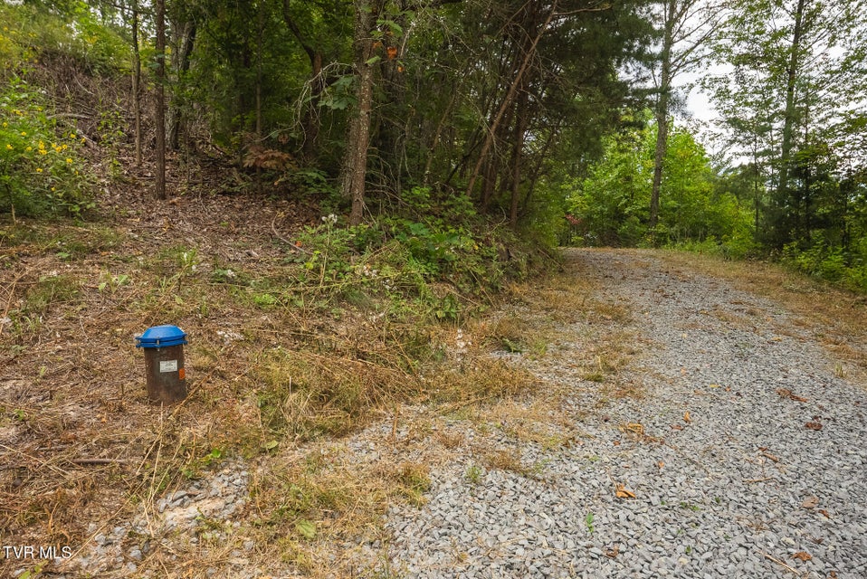 Photo #15: 170 Fire Tower Road