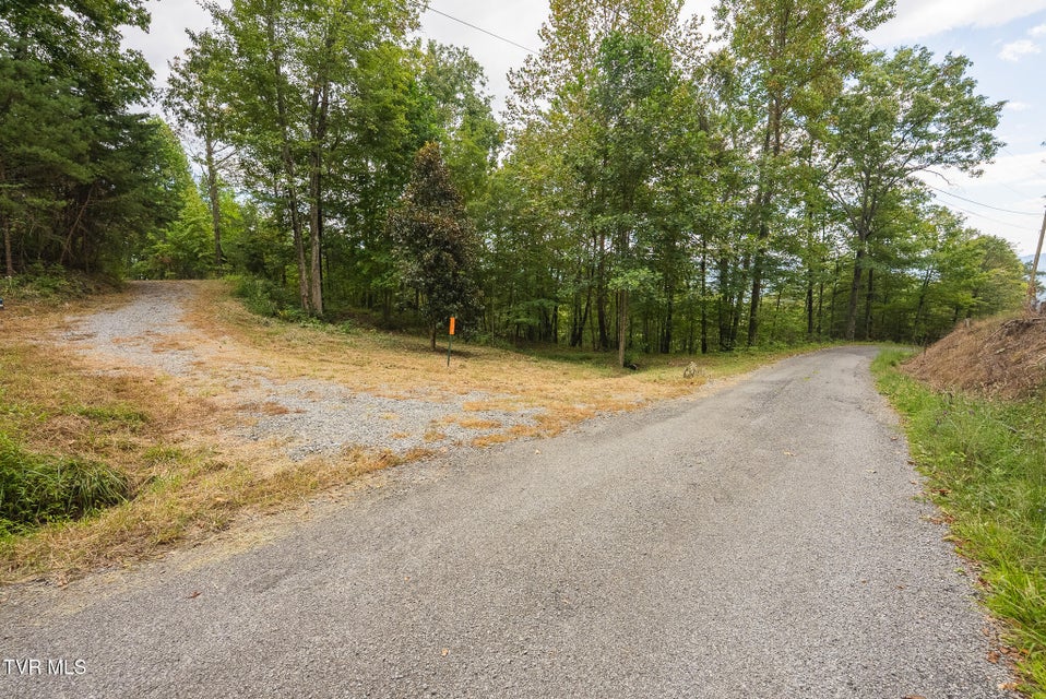 Photo #16: 170 Fire Tower Road