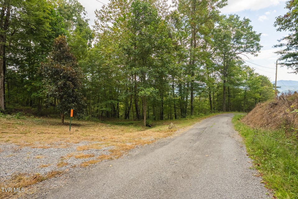 Photo #17: 170 Fire Tower Road