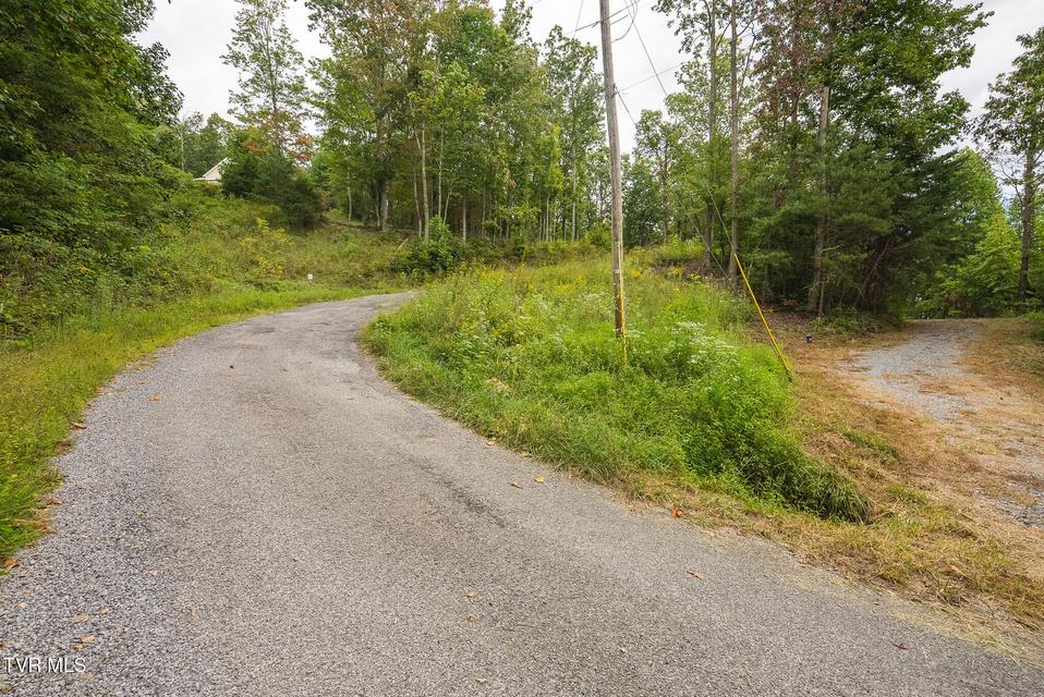 Photo #18: 170 Fire Tower Road