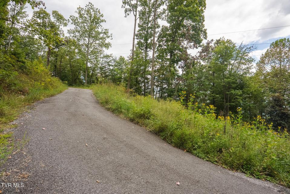 Photo #19: 170 Fire Tower Road