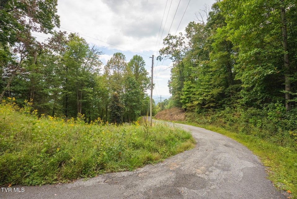 Photo #20: 170 Fire Tower Road