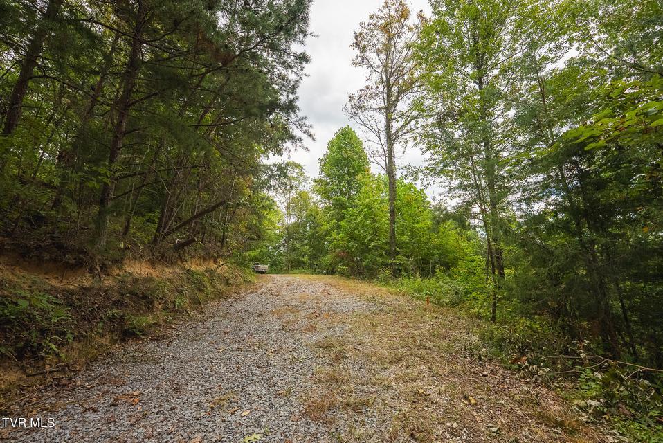 Photo #21: 170 Fire Tower Road