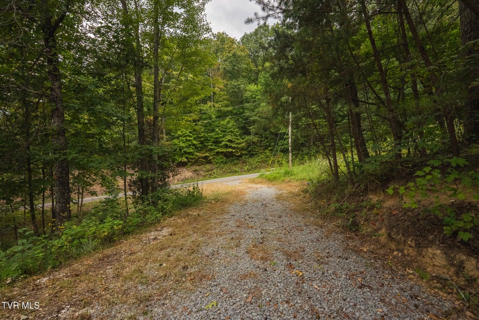 Photo #22: 170 Fire Tower Road