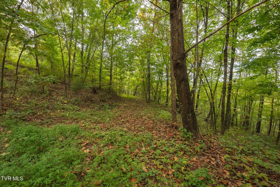 Photo #23: 170 Fire Tower Road