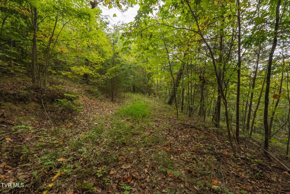 Photo #25: 170 Fire Tower Road