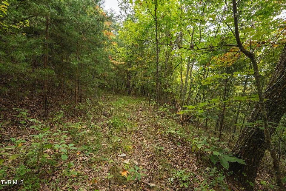 Photo #26: 170 Fire Tower Road