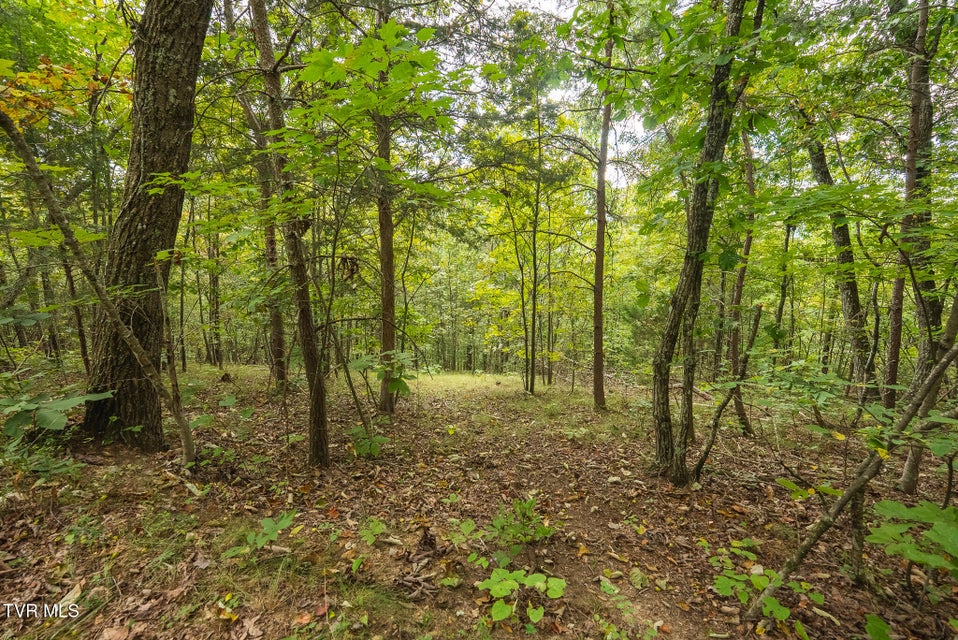 Photo #27: 170 Fire Tower Road