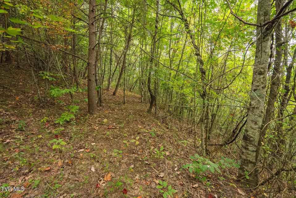 Photo #28: 170 Fire Tower Road