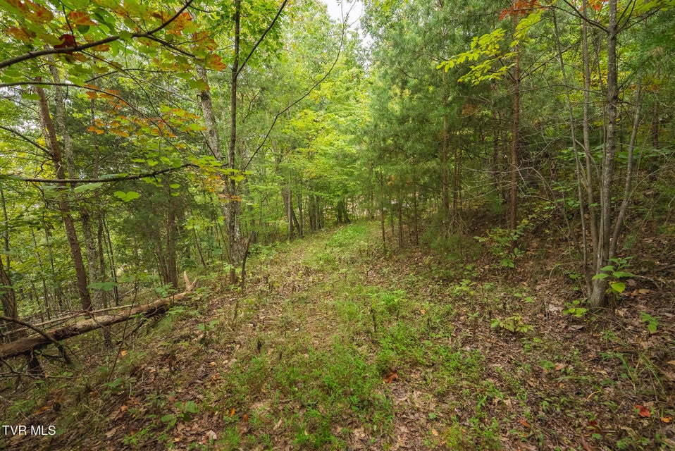 Photo #29: 170 Fire Tower Road