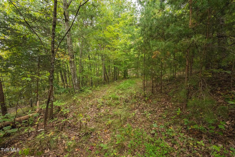 Photo #30: 170 Fire Tower Road