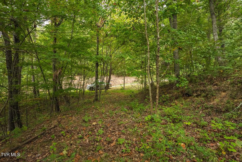 Photo #31: 170 Fire Tower Road