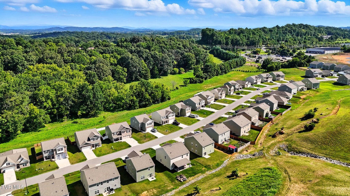 Photo #56: 1260 Valley Parke Drive