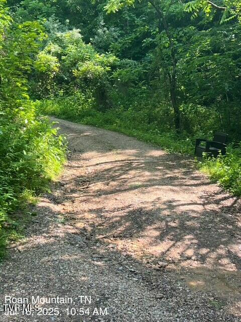 Photo #2: 335 Bear Cage Road