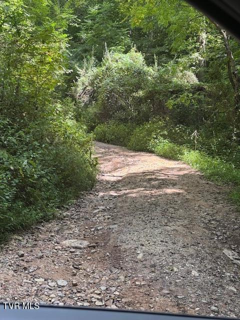 Photo #3: 335 Bear Cage Road