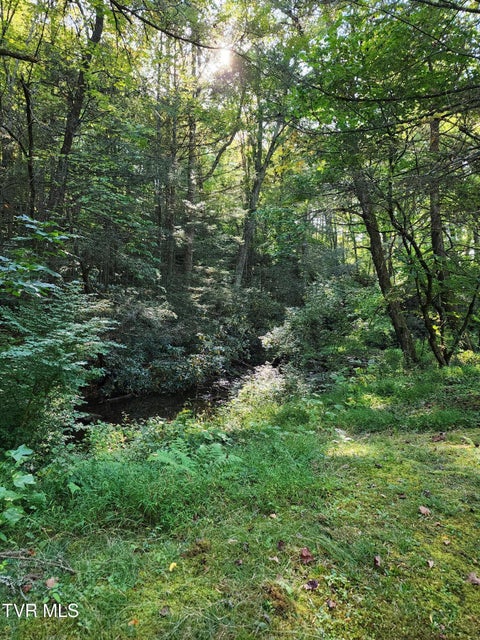 Photo #3: 6219 Laurel Grove Road