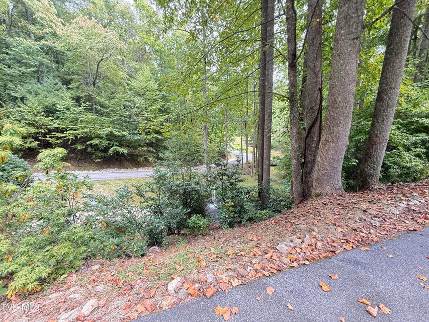 Photo #45: 236 Lakeside Drive