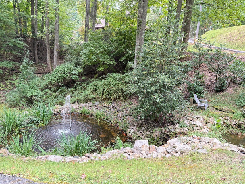 Photo #53: 236 Lakeside Drive