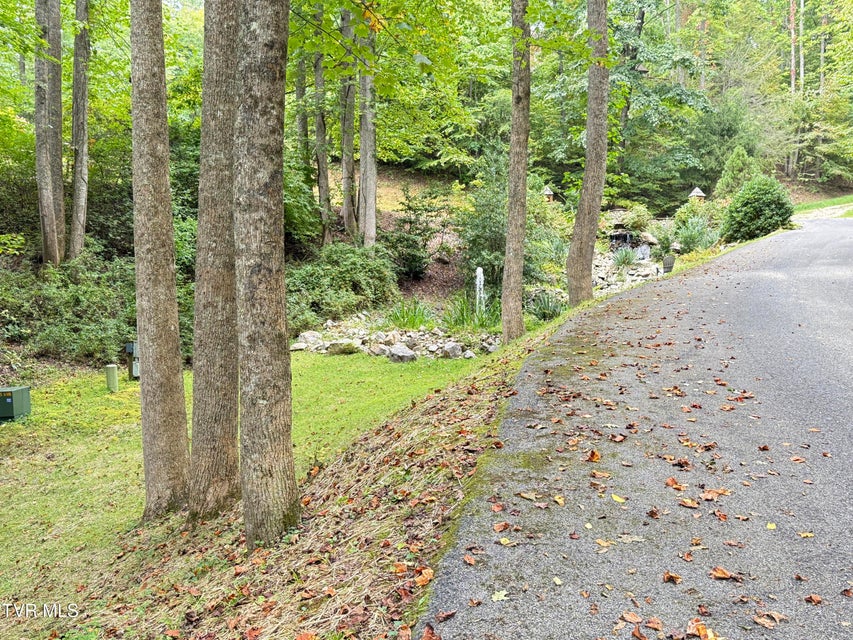 Photo #55: 236 Lakeside Drive