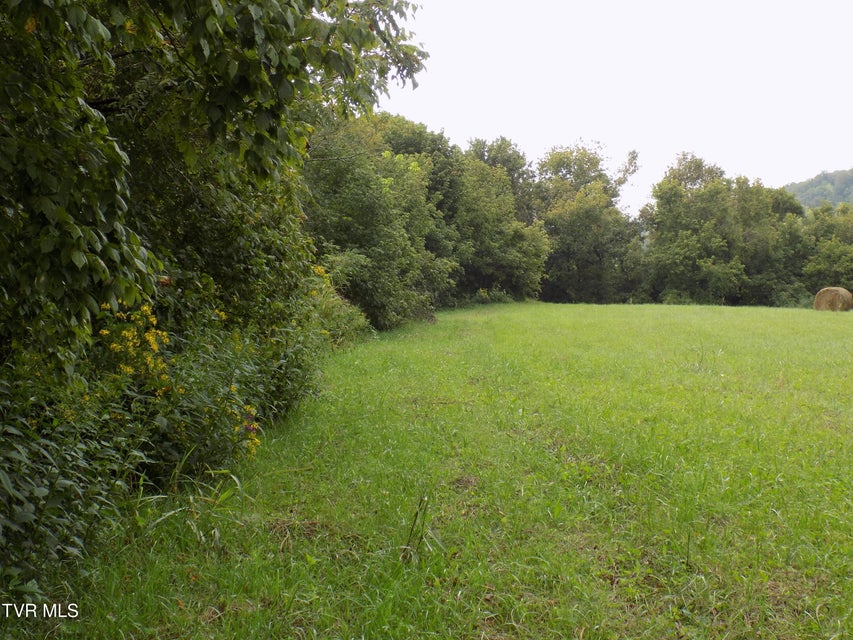 Photo #20: 1118 Tazewell Hwy