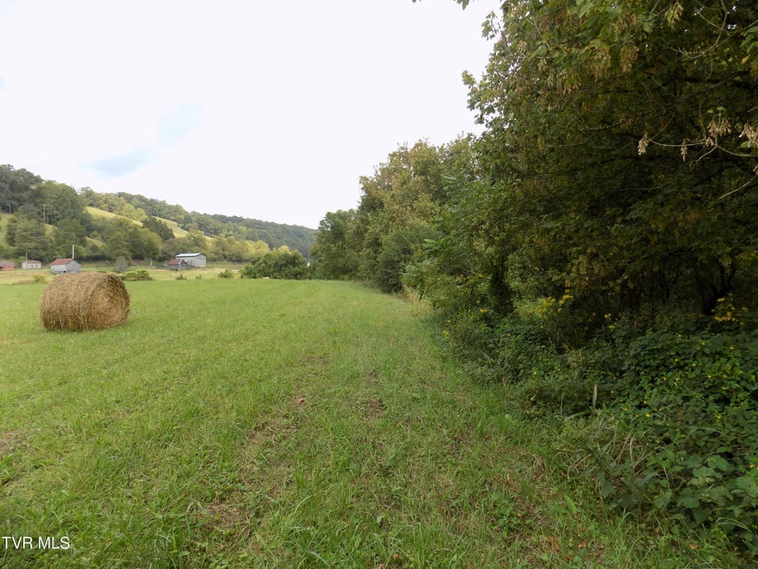 Photo #21: 1118 Tazewell Hwy