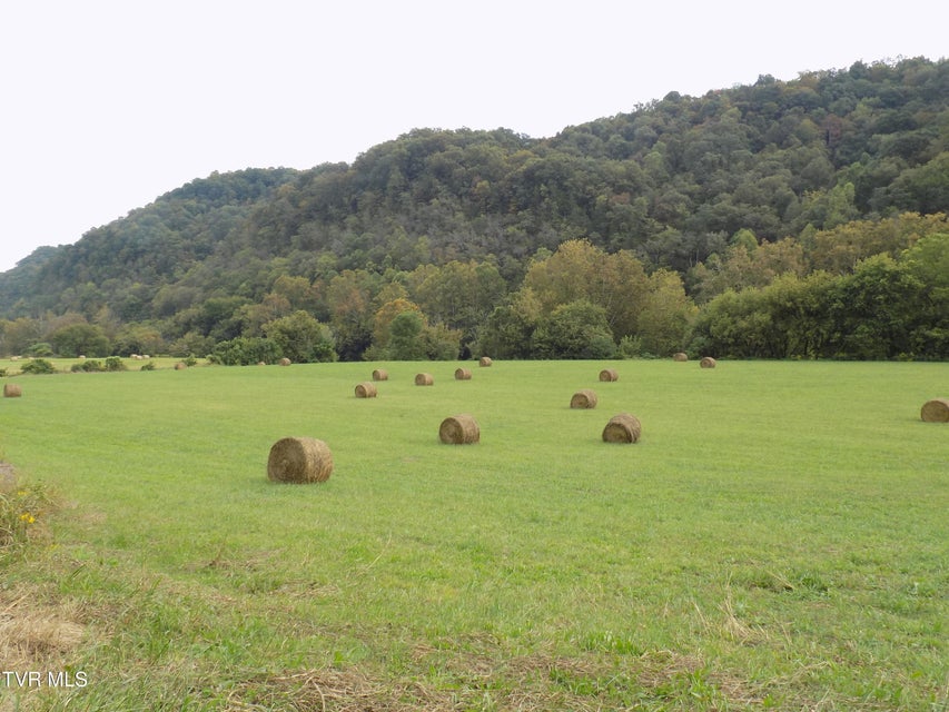 Photo #27: 1118 Tazewell Hwy