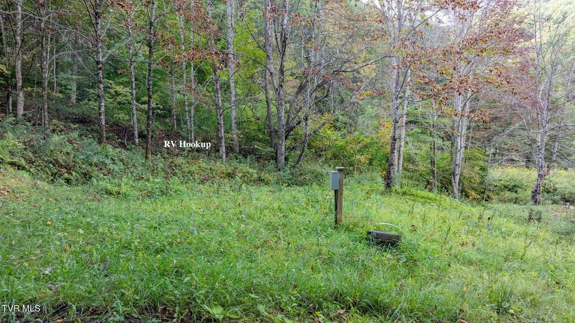 Photo #17: 4966 Old Asheville Highway