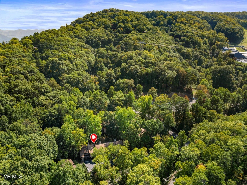 Photo #23: 1235 Ski Mountain Road