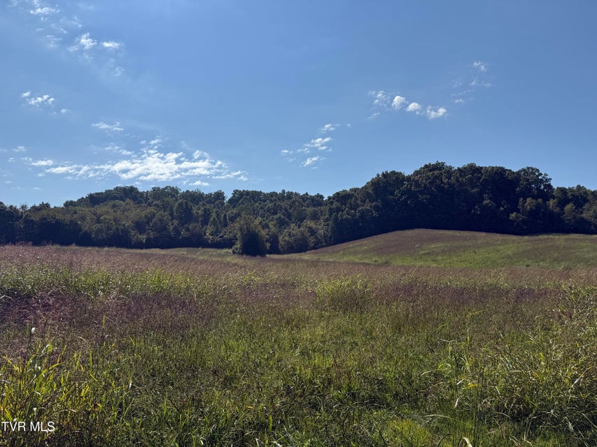 Photo #5: 0 Old Snapps Ferry Road
