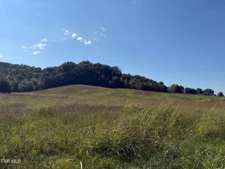 Photo #6: 0 Old Snapps Ferry Road