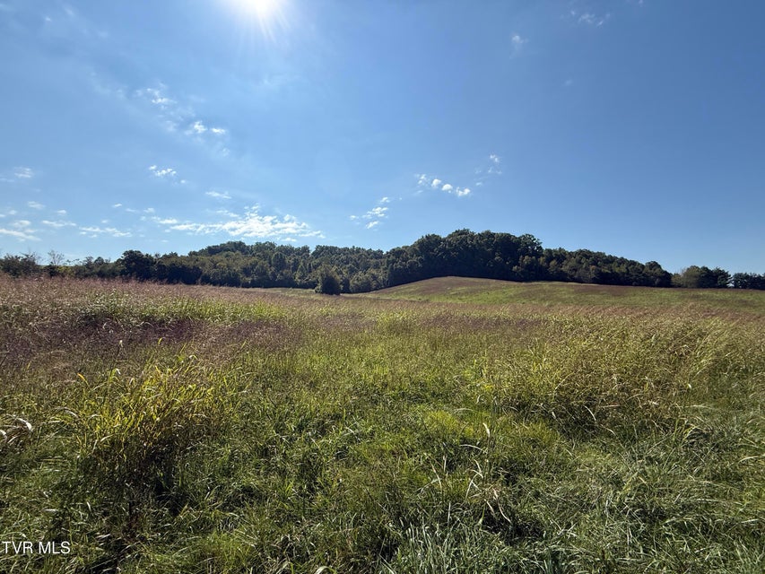Photo #7: 0 Old Snapps Ferry Road